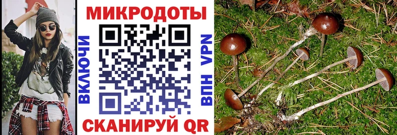 Галлюциногенные грибы Cubensis  Железногорск 